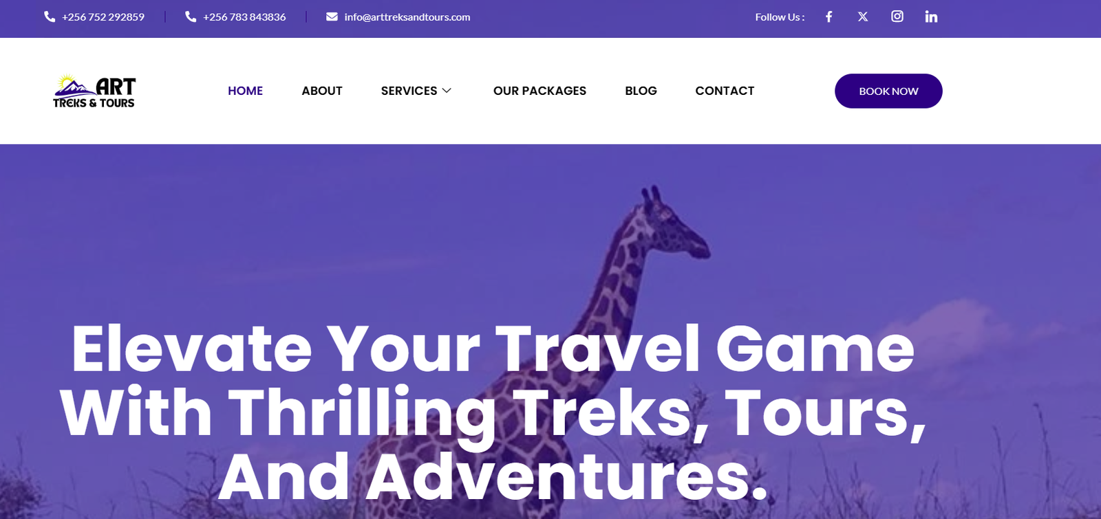 Arts Website